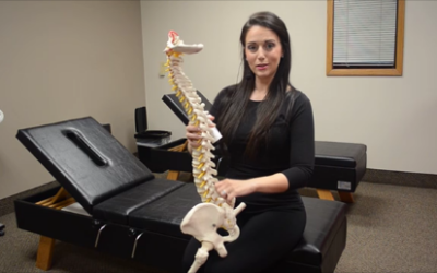 Chiropractic for low back pain part II Lumbar segment 3 (L3)
